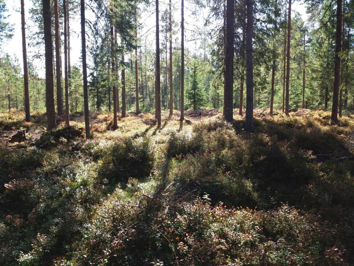 Presterudveien 125 Викерсунд Экстерьер фото